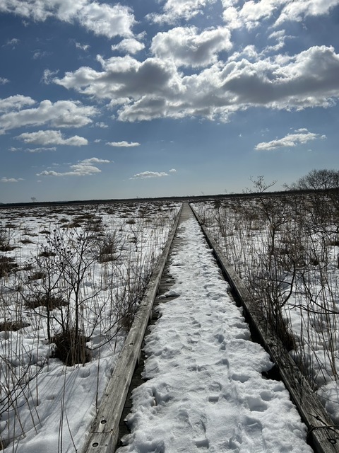 S__36937793_0.jpg