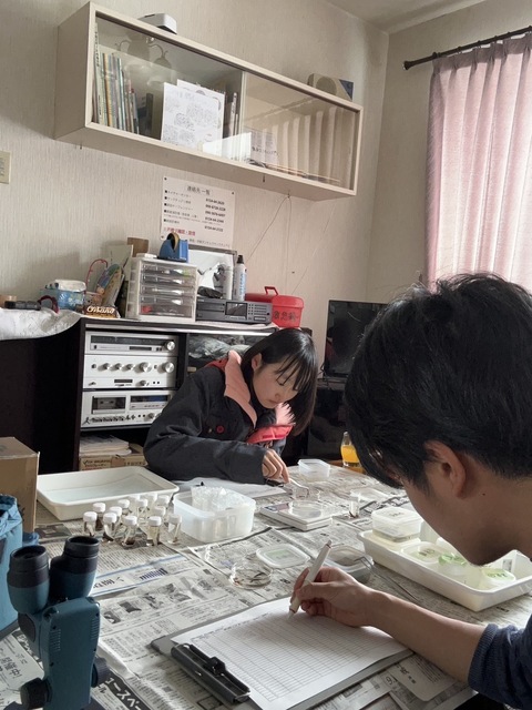 S__36937796_0.jpg